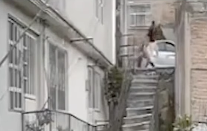 Lanza al perro por las escaleras