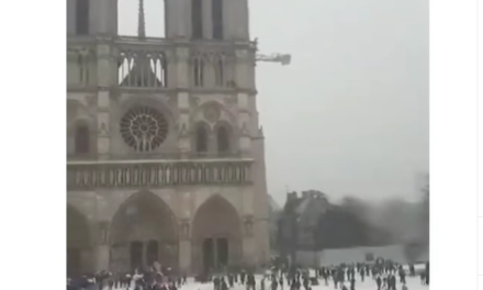  Escena de Disney en París: Catedral de Notre Dame amaneció tapizada de blanco