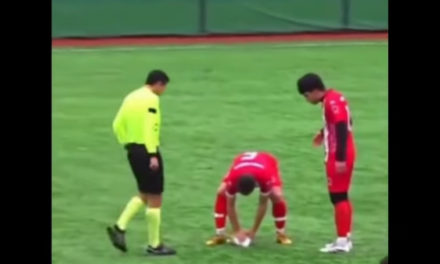 Gaviota revive tras impacto en partido amateur en Estambul