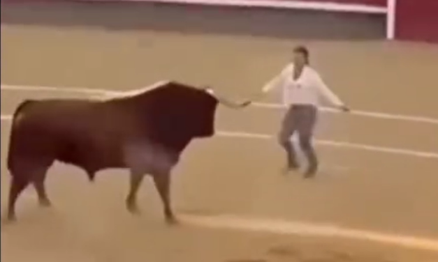 Toro reconoce a mujer que lo crió y se detiene en plena corrida