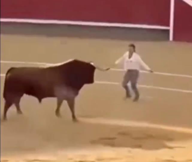 Toro reconoce a mujer que lo crió y se detiene en plena corrida