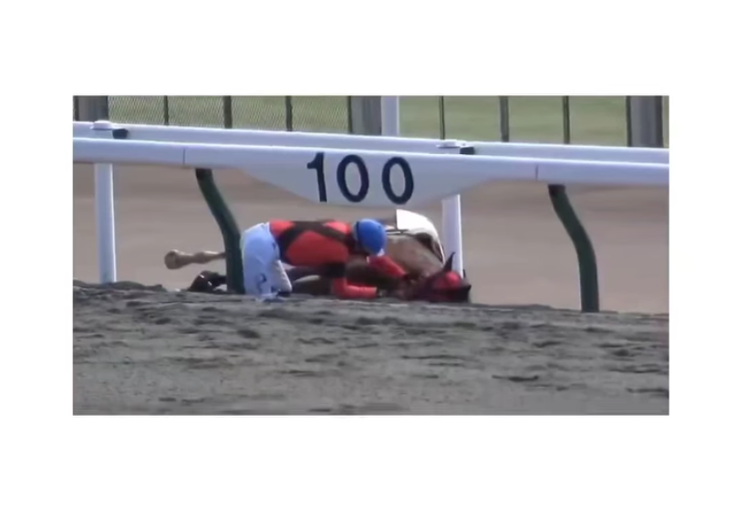 El gesto de un jinete que conmovió en plena caída durante una carrera