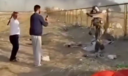 Piloto de combate americano se salvó de accidente aéreo y por poco lo agreden