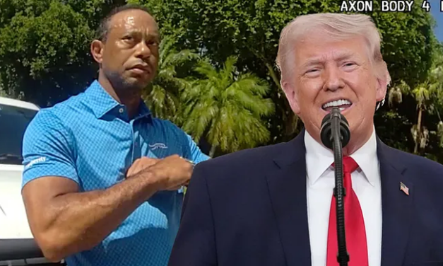 Tiger Woods asegura que hablaba con Trump cuando se acercó un agente tras su accidente y arresto