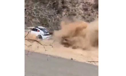Porsche cae a un barranco en pleno rally y sus ocupantes salen ilesos