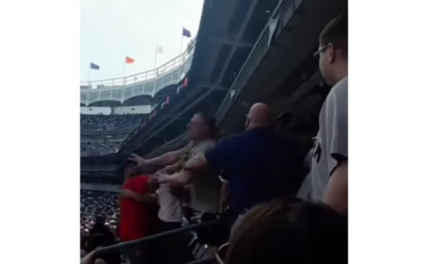 CUANDO EL JUEGO PASA A SEGUNDO PLANO: PELEA EN EL YANKEE STADIUM