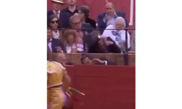 Del lomo del toro a la grada: el peligroso vuelo de la espada