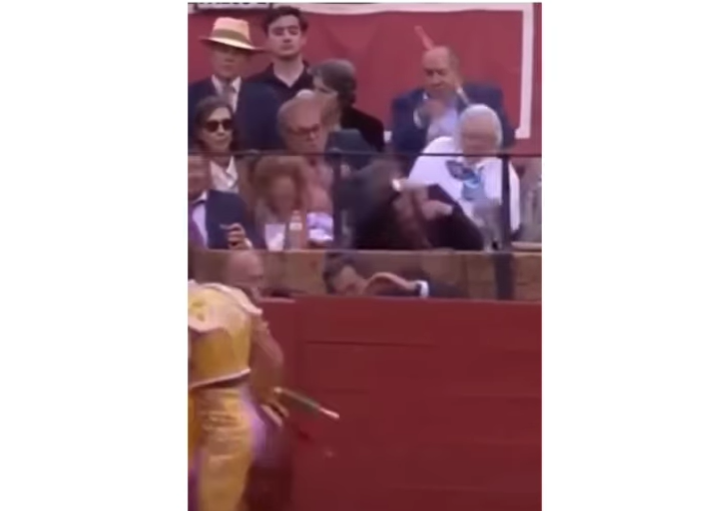 Del lomo del toro a la grada: el peligroso vuelo de la espada