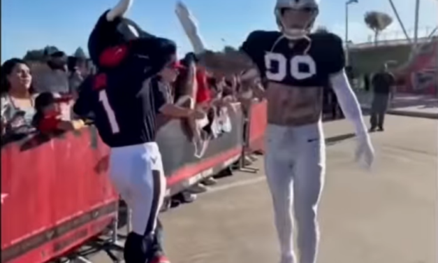 Mascota de los Texans dribló a los Raiders