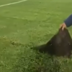 Millonarios vs. Once Caldas fue cancelado por el mal estado de la cancha