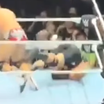 ¡BRON BREAKKER VOLVIÓ A LUCHAR TRAS SU ESCALOFRIANTE CAÍDA SOBRE EL CUELLO!